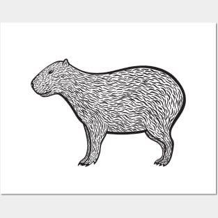 Capybara Ink Art - light colors Posters and Art